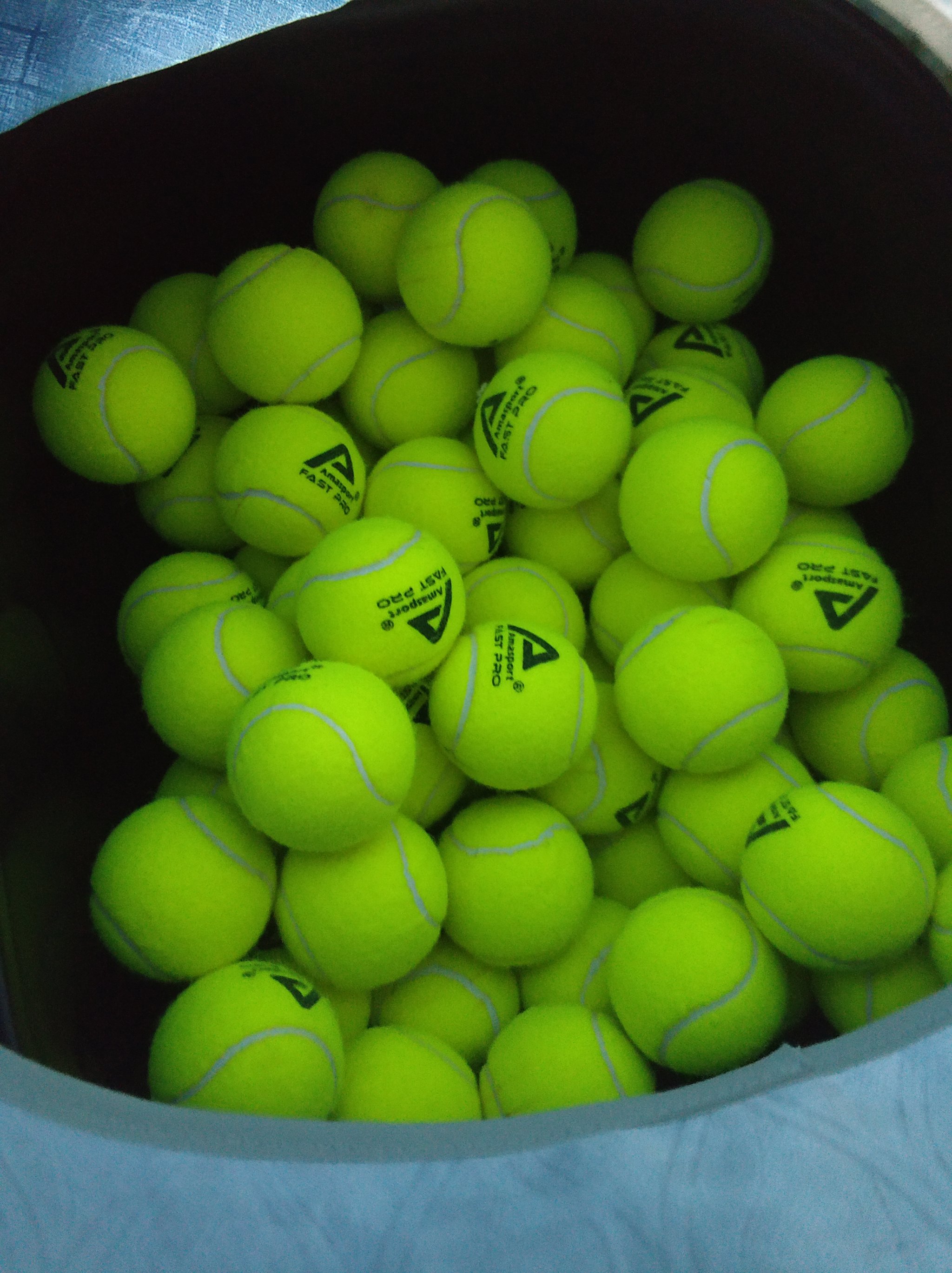 这种情况本 这种情况本