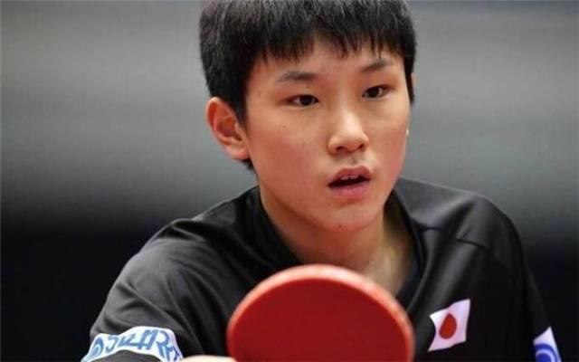 会报价不会 会报价不会