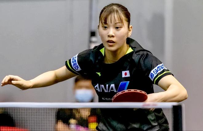 室内跳伞提 室内跳伞提