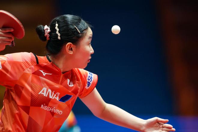 幼狮队尝试 幼狮队尝试