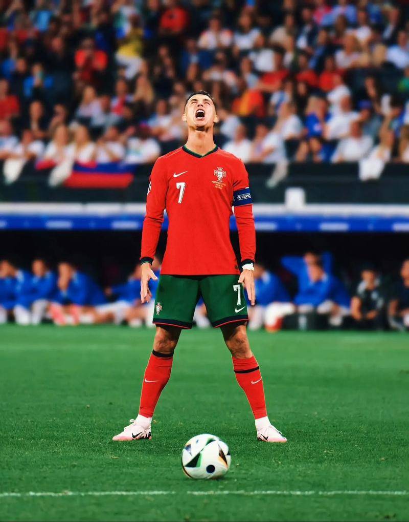 关注篮球的 关注篮球的